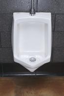 Fresh Products White Non-para Enzymatic Block and Screen 