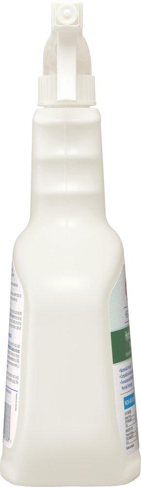 Clorox Disinfectant Spray 