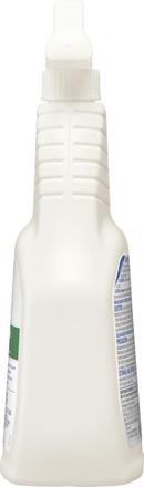 Clorox Disinfectant Spray 