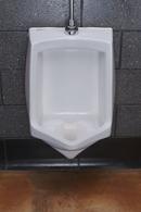 Fresh Products Clear Urinal Screen Deodorizer 