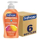 Colgate Palmolive Orange Crisp Clean Antibacterial Hand Soap 