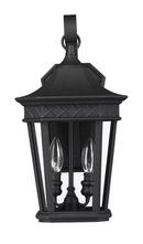 16-5/8 in. 60W 2-Light Outdoor Wall Sconce in Black