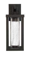 16 in. 11W 1-Light Outdoor Wall Sconce with Clear Crackle Glass in Black