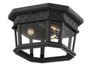 60W 3-Light Outdoor Ceiling Fixture in Black