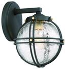 100W 1-Light Medium E-26 Outdoor Wall Sconce in Black with Honey Gold Highlight