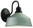 100W 1-Light Medium E-26 Incandescent Outdoor Wall Sconce in Sand Silver