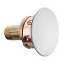 Tyco Signal White 3-3/16 in. Brass and Copper Cover Plate