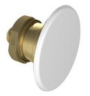 Tyco Natural Brass 3/4 in. 8K Horizontal Sidewall Sprinkler Head 
