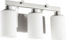 Quorum International Satin Nickel 100W 3-Light Vanity Fixture 