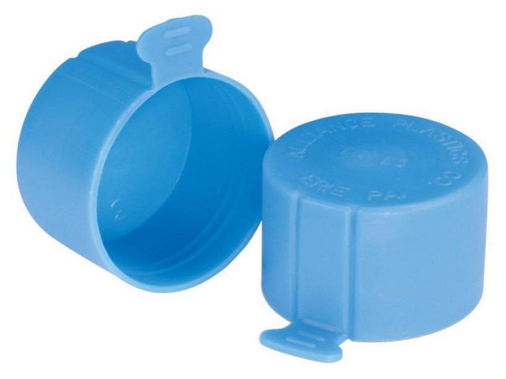 Essentra Components Blue MPT LDPE Close Cap in Blue 