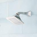 Signature Hardware Polished Nickel Single Function Full Spray Showerhead 