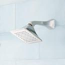 Signature Hardware Polished Nickel Single Handle Single Function Bathtub & Shower Faucet (Trim Only) 