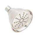 Signature Hardware Brushed Nickel 7-7/8 in. Single Function Full Showerhead 
