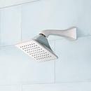 Single Function Showerhead in Brushed Nickel