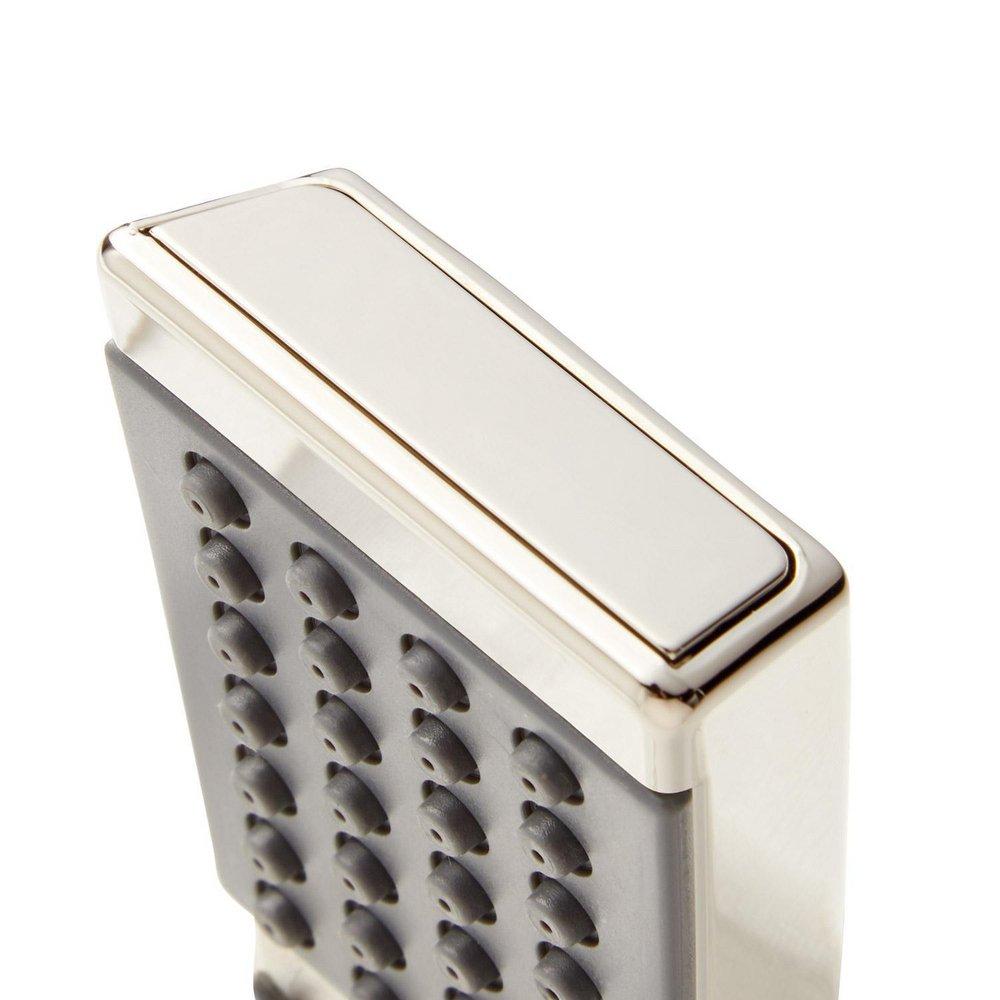 Signature Hardware Polished Nickel Single Function Hand Shower 