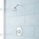 Single Handle Multi Function Shower Faucet in Polished Chrome (Trim Only)