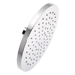 Single Function Showerhead in Polished Chrome