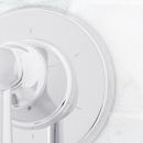 Signature Hardware Chrome Single Handle Bathtub & Shower Faucet (Trim Only) 