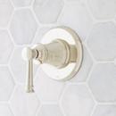 Tub and Shower Transfer Valve Trim with Single Lever Handle in Polished Nickel