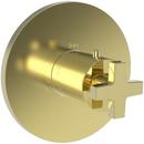 Newport Brass Uncoated Polished Brass - Living Single Handle Bathtub & Shower Faucet (Trim Only) 