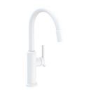 PULL-DOWN KITCHEN FAUCET 
