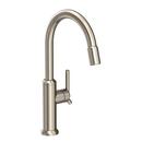 PULL-DOWN KITCHEN FAUCET 
