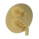 1/2 ROUND THERMOSTATIC TRIM PLATE WITH HANDLE 
