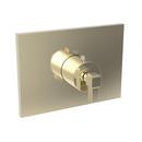 Newport Brass French Gold - PVD Brass Valve Trim 