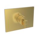 Newport Brass Satin Gold - PVD Brass Valve Trim 