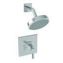 Newport Brass Polished Chrome Single Handle Shower Faucet (Trim Only) 
