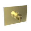 Newport Brass Uncoated Polished Brass - Living Brass Valve Trim 
