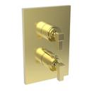 Newport Brass Uncoated Polished Brass - Living Brass Valve Trim 