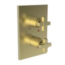 Newport Brass Satin Brass - PVD Brass Valve Trim 