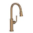 Newport Brass Antique Brass Pull Down Kitchen Faucet 