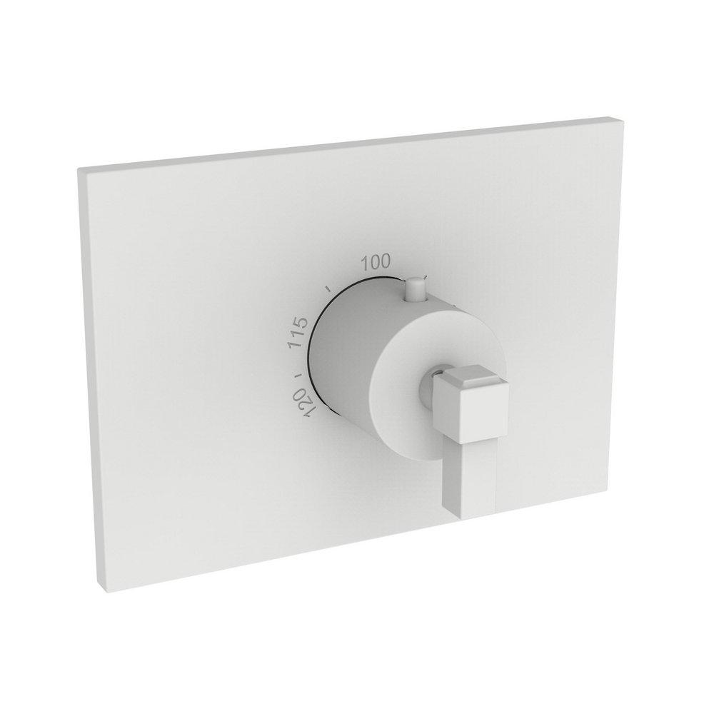 Newport Brass Matte White Brass Valve Trim 