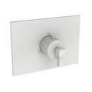 Newport Brass Matte White Brass Valve Trim 
