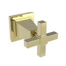 Newport Brass Uncoated Polished Brass - Living 3-63/100 in. Brass Handle 