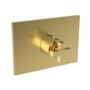 Newport Brass Satin Gold - PVD Brass Valve Trim 