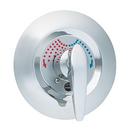 Bradley Corporation NPT Pressure Balancing Valve 