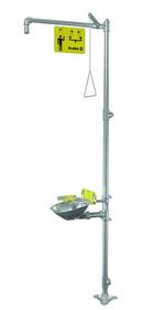 Bradley Corporation Stainless Steel NPT 20 gpm Safety Shower with Eye and Face Wash in Stainless Steel 