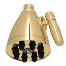 ROHL&reg; Unlacquered Brass Single Function Jet Showerhead 