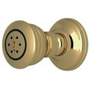 ROHL&reg; Unlacquered Brass Multi Function Body Spray 