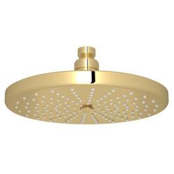 Single Function Showerhead in Unlacquered Brass
