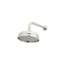 ROHL&reg; Unlacquered Brass Showerhead 