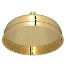 Single Function Showerhead in Unlacquered Brass
