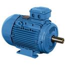 AC Electric Motor