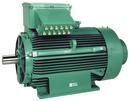 Bosch Thermotechnology AC Motor 