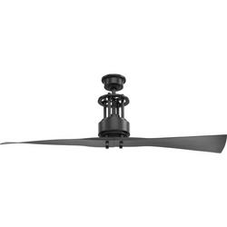 56 in. 2-Blade Indoor Ceiling Fan in Graphite