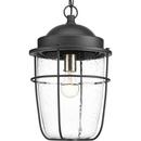 Progress Lighting Black 100W 1-Light Medium E-26 Incandescent Outdoor Pendant 