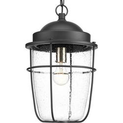 100W 1-Light Medium E-26 Incandescent Outdoor Pendant in Black